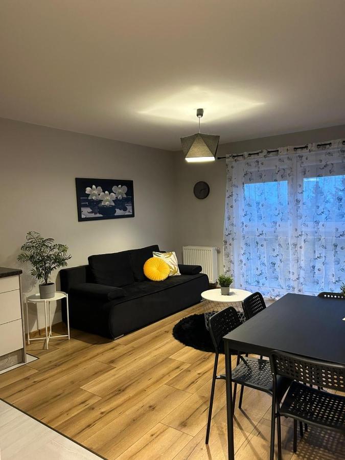 Gingerbread Apartment Торунь Екстер'єр фото