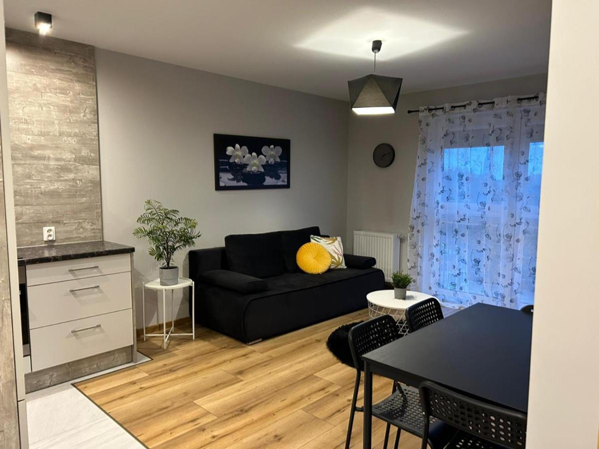 Gingerbread Apartment Торунь Екстер'єр фото